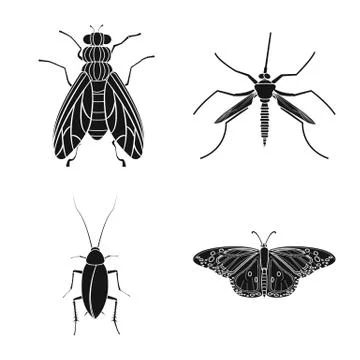 Vector illustration of insect and fly sign. Set of insect and element stock Stock Illustration