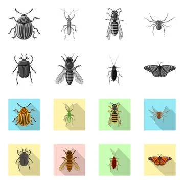 Vector illustration of insect and fly sign. Collection of insect and element Illustrazione stock