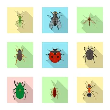 Vector illustration of insect and fly sign. Set of insect and element vector Illustrazione stock