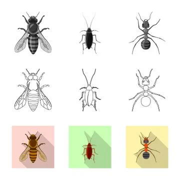 Vector illustration of insect and fly symbol. Set of insect and element stock Illustrazione stock