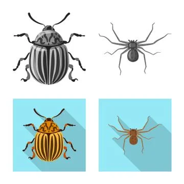 Vector illustration of insect and fly logo. Collection of insect and element Stock Illustration