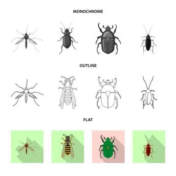 Vector illustration of insect and fly sign. Set of insect and element stock Stock Illustration