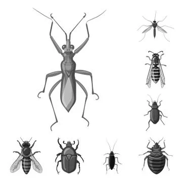 Vector illustration of insect and fly symbol. Set of insect and element stock Illustrazione stock