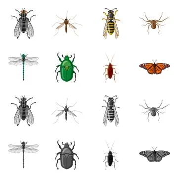 Vector illustration of insect and fly sign. Set of insect and element stock Illustrazione stock