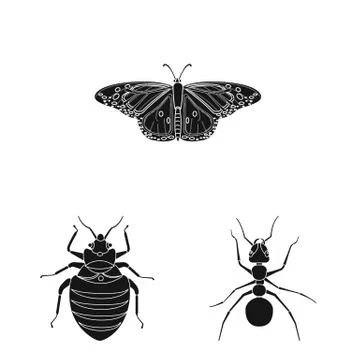 Vector illustration of insect and fly logo. Set of insect and element stock Stock Illustration