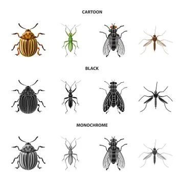 Vector illustration of insect and fly symbol. Set of insect and element stock Stock-Illustration