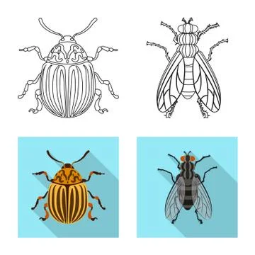 Vector illustration of insect and fly icon. Set of insect and element stock Stock Illustration