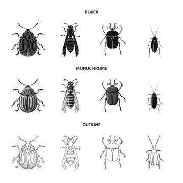 Vector illustration of insect and fly sign. Collection of insect and element Stock Illustration