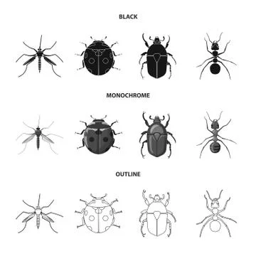 Vector illustration of insect and fly sign. Set of insect and element vector Stock Illustration