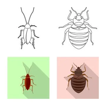 Vector illustration of insect and fly sign. Collection of insect and element Illustrazione stock