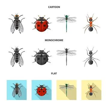 Vector illustration of insect and fly logo. Set of insect and element stock Stock Illustration