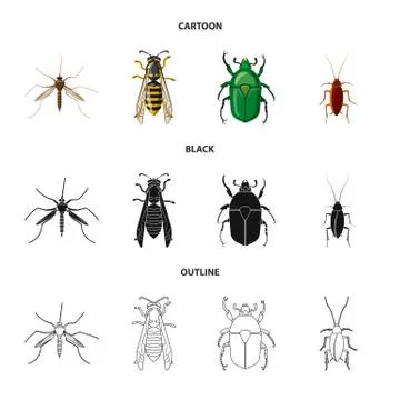 Vector illustration of insect and fly symbol. Collection of insect and element Stock Illustration