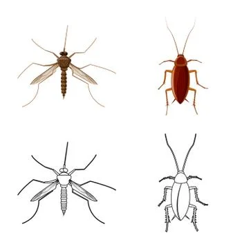 Vector illustration of insect and fly symbol. Set of insect and element stock Stock-Illustration