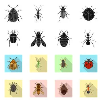 Vector illustration of insect and fly logo. Collection of insect and element Ilustración de archivo