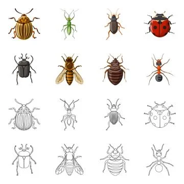 Vector illustration of insect and fly logo. Set of insect and element stock Ilustración de archivo