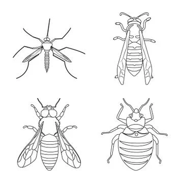 Vector illustration of insect and fly icon. Collection of insect and element イラスト素材