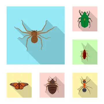 Vector illustration of insect and fly symbol. Collection of insect and element Stock Illustration