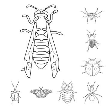 Vector illustration of insect and fly icon. Set of insect and element stock Illustrazione stock