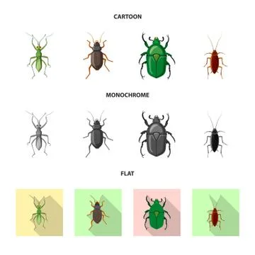 Vector illustration of insect and fly sign. Collection of insect and element Illustrazione stock