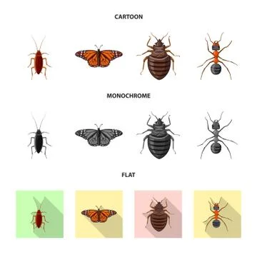 Vector illustration of insect and fly symbol. Collection of insect and element Stock Illustration