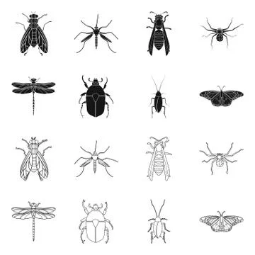 Vector illustration of insect and fly icon. Collection of insect and element Illustrazione stock