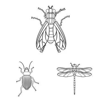 Vector illustration of insect and fly logo. Set of insect and element stock 스톡 일러스트
