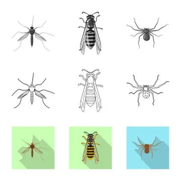 Vector illustration of insect and fly logo. Set of insect and element vector イラスト素材
