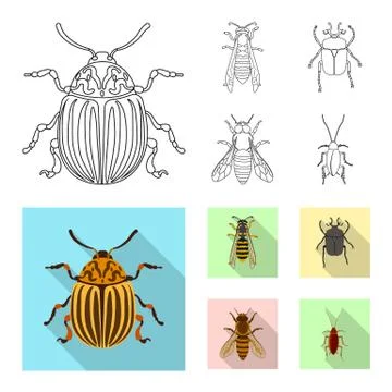 Vector illustration of insect and fly symbol. Collection of insect and element Stock Illustration