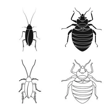 Vector illustration of insect and fly logo. Collection of insect and element Stock Illustration