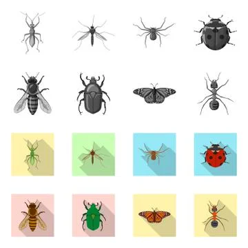 Vector illustration of insect and fly icon. Collection of insect and element Stock Illustration