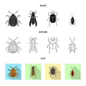 Vector illustration of insect and fly icon. Set of insect and element stock Illustrazione stock