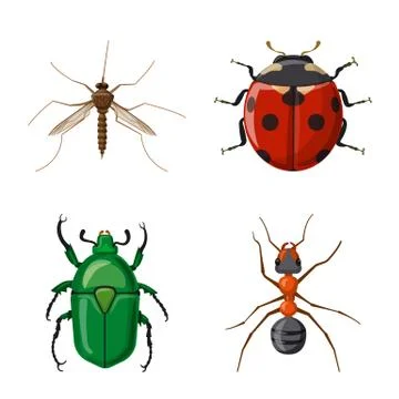 Vector illustration of insect and fly symbol. Set of insect and element stock Stock-Illustration