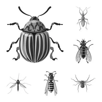 Vector illustration of insect and fly icon. Set of insect and element stock Stock Illustration