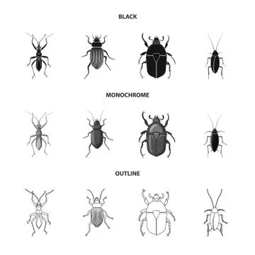 Vector illustration of insect and fly sign. Collection of insect and element Illustrazione stock
