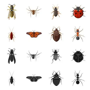 Vector illustration of insect and fly symbol. Collection of insect and element Stock Illustration