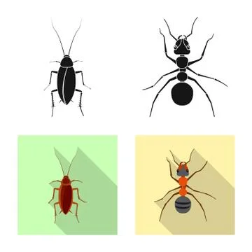 Vector illustration of insect and fly sign. Set of insect and element vector Illustrazione stock