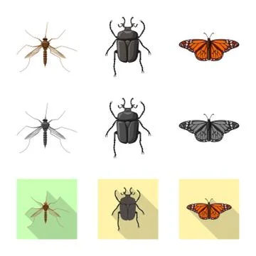 Vector illustration of insect and fly logo. Collection of insect and element Stockillustratie