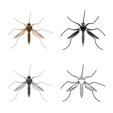 Vector illustration of insect and fly logo. Set of insect and element stock Stock Illustration