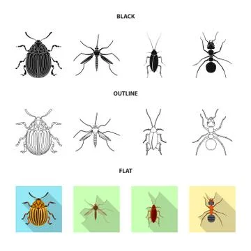 Vector illustration of insect and fly sign. Collection of insect and element Illustrazione stock