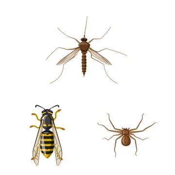 Vector illustration of insect and fly logo. Set of insect and element stock Stock Illustration