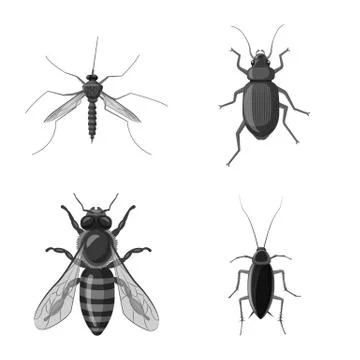Vector illustration of insect and fly logo. Collection of insect and element Stock Illustration
