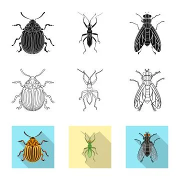 Vector illustration of insect and fly icon. Collection of insect and element Stock Illustration