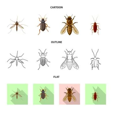 Vector illustration of insect and fly icon. Set of insect and element vector Stock Illustration