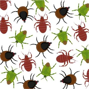 Vector illustration insect bedbug,mite and flea pattern Stock Illustration
