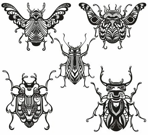 Vector illustration with insect beetles Stock Illustration