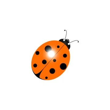 Vector illustration insect ladybug on a white background isolation Stock Illustration