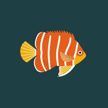 Vector illustration of isolated fish. Handdrawn design element Stock Illustration