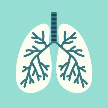 Vector illustration of isolated lungs Stock Illustration