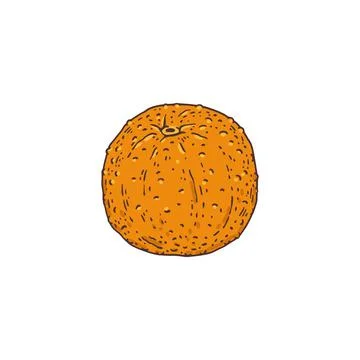 Vector illustration isolated on white background. Stock Illustration