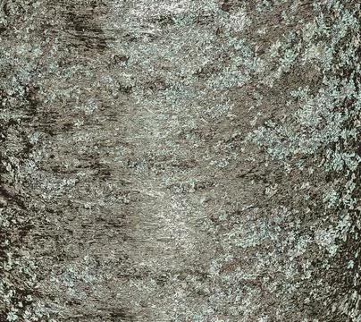 Vector illustration of Japanese cherry tree bark, Prunus serrulata. Texture.. Stock Illustration